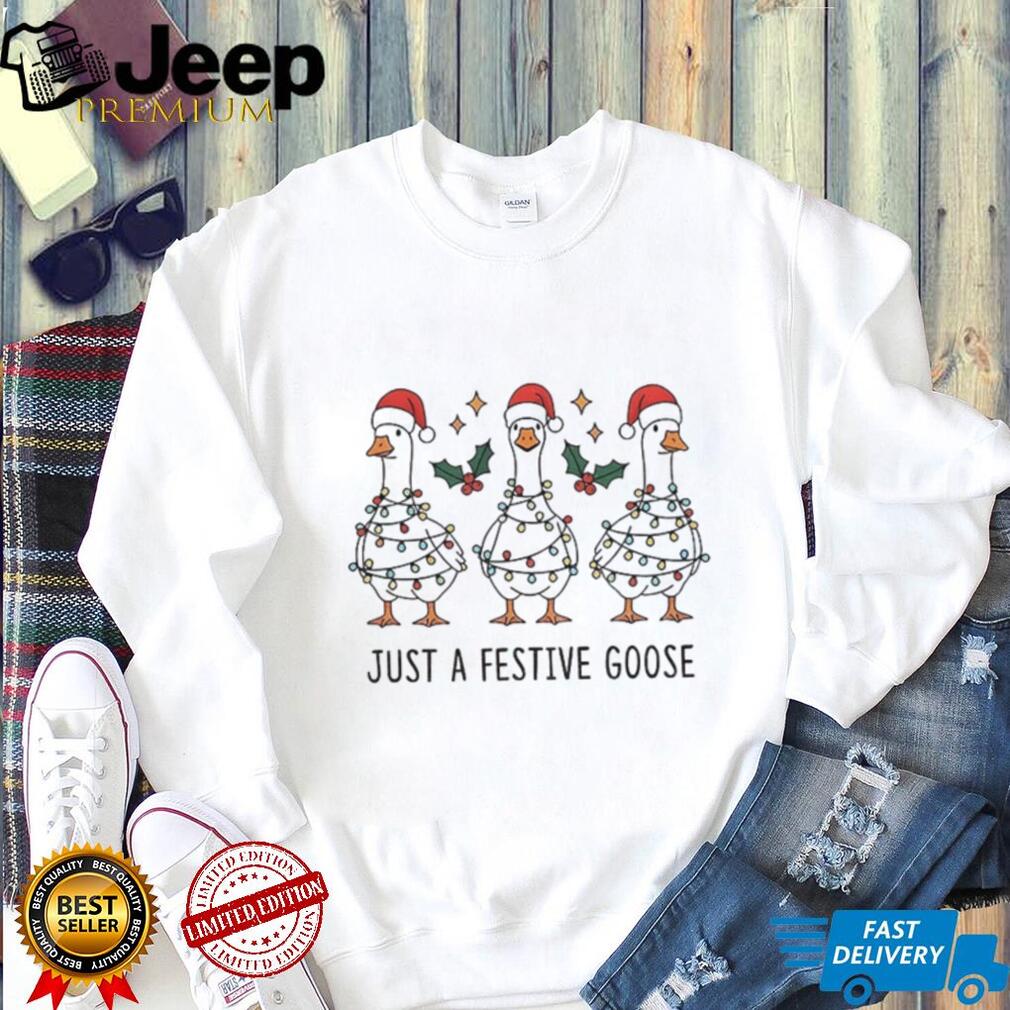 Silly goose Santa hat just a festive goose Merry Christmas shirt Silly goose Santa hat just a festive goose Merry Christmas shirt