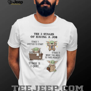 The 3 Stages Of Having A Job T Shirt