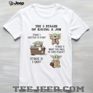 The 3 Stages Of Having A Job T Shirt