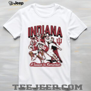Indiana Hoosiers Football A Season To Remember Vintage T Shirt