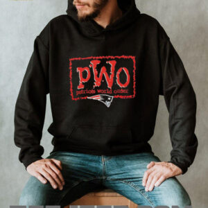 PWO Patriots World Order New England Football Parody T Shirt PWO Patriots World Order New England Football Parody T Shirt