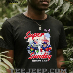 Super Sunday Football Bowl San Francisco Seattle New England shirt