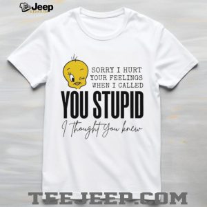 Tweety Bird Sorry I Hurt Your Feelings When I Called You Stupid T Shirt Tweety Bird Sorry I Hurt Your Feelings When I Called You Stupid T Shirt
