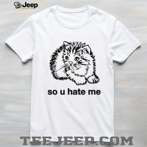 Funny So You Hate Me Grumpy Kitten Cat Lover Graphic T Shirt