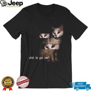 Creepy Red Eyed Cat Glitch Aesthetic What Do You See Surreal T Shirt Creepy Red Eyed Cat Glitch Aesthetic What Do You See Surreal T Shirt