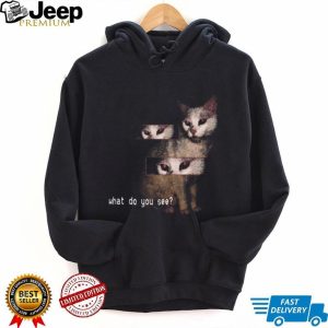 Creepy Red Eyed Cat Glitch Aesthetic What Do You See Surreal T Shirt