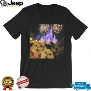 Cute Cats Disney Castle Fireworks Graphic T Shirt Cute Cats Disney Castle Fireworks Graphic T Shirt