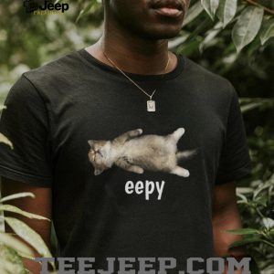Cute Eepy Sleeping Kitten Aesthetic Kawaii Cat Lover T Shirt