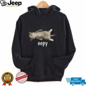 Cute Eepy Sleeping Kitten Aesthetic Kawaii Cat Lover T Shirt