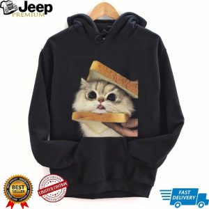 Cute Fluffy Cat Holding Bread Sandwich Meme Funny Graphic T Shirt