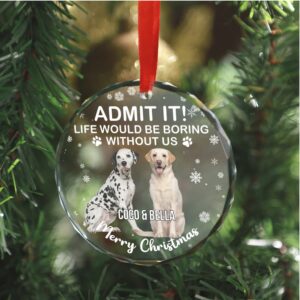 Admit It Life Would Be Boring Without Us Glass Ornament Custom Photo Glass Ornament Personalized Gift For Cat Lovers