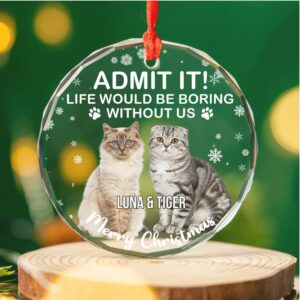 Admit It Life Would Be Boring Without Us Glass Ornament Custom Photo Glass Ornament Personalized Gift For Dog Lovers