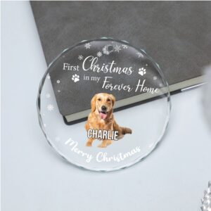 First Christmas in My Forever Home Glass Ornament Custom Photo Glass Ornament Personalized Gift For Dog Lovers