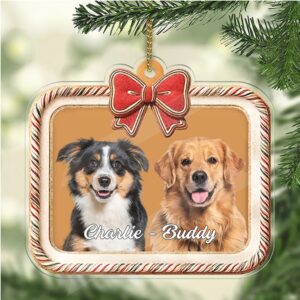 Personalized Dog Photo Acrylic Ornament Custom Name Dog Cat Pet Photo Christmas Ornament