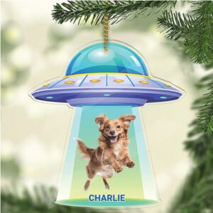 Personalized Dog Photo UFO Acrylic Ornament Custom Dog Cat Christmas Ornament