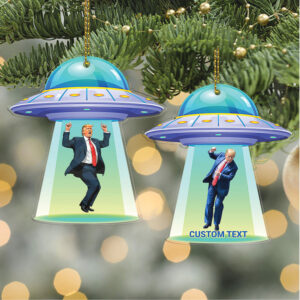 Personalized Donald Trump Acrylic Ornament Custom Funny Trump UFO Christmas Ornament