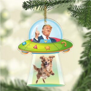 Personalized Donald Trump UFO Acrylic Ornament Custom Photo Upload Christmas Ornament