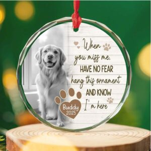 Personalized When You Miss Me Pet Memorial Glass Ornament Custom Pet Photo Glass Ornament Dog Cat Loss Remembrance Gift Keepsake