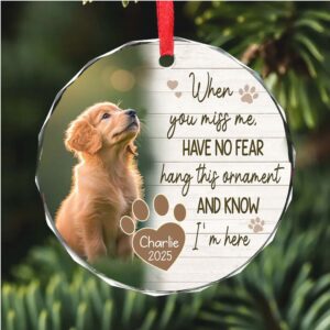 Personalized When You Miss Me Pet Memorial Glass Ornament Custom Pet Photo Glass Ornament Dog Cat Loss Remembrance Gift Keepsake