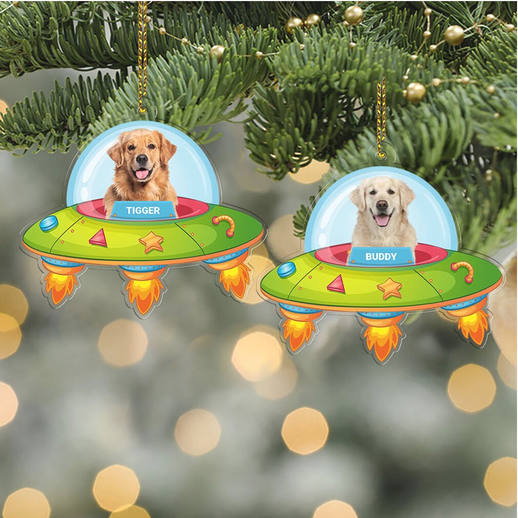 Trump Grinch Acrylic Ornament Dr. Seuss’s How The Grinch Stole Christmas Grinch Christmas Ornaments Trump Grinch Acrylic Ornament Dr. Seuss’s How The Grinch Stole Christmas Grinch Christmas Ornaments