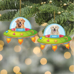 Trump Grinch Acrylic Ornament Dr. Seuss's How The Grinch Stole Christmas Grinch Christmas Ornaments