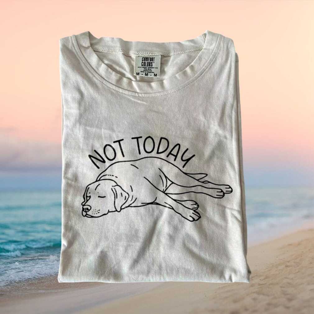 Lazy Dog Sleeping Not Today Funny Graphic Comfort T Shirt Lazy Dog Sleeping Not Today Funny Graphic Comfort T Shirt
