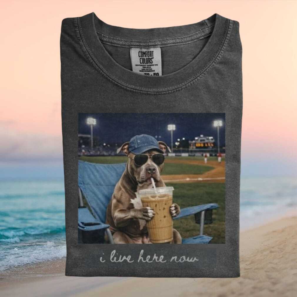 Pitbull I Live Here Now Baseball Iced Coffee T Shirt Pitbull I Live Here Now Baseball Iced Coffee T Shirt